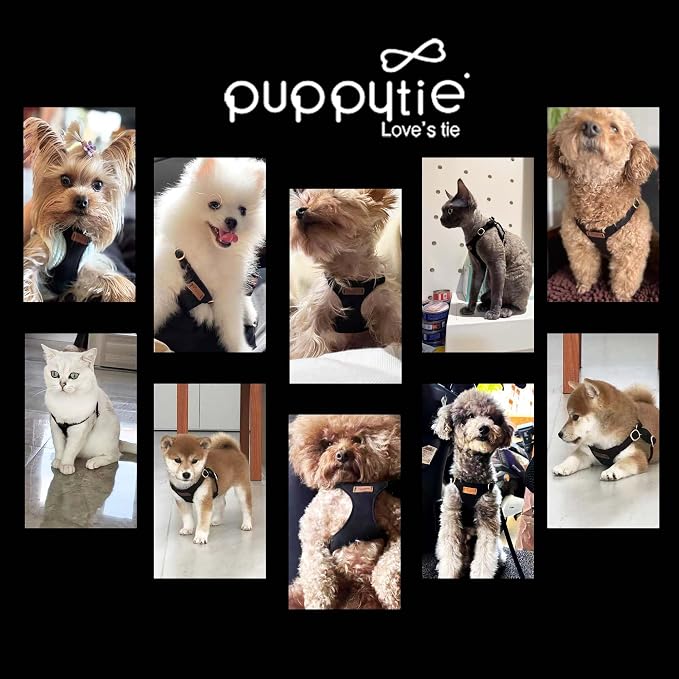 Puppytie XXS Puppy Harness with Multifunction Dog Leash,Soft Adjustable No Choke Escape Proof Pet Harness Vest,Black,XXS