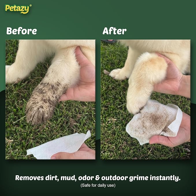 Pet Wipes for Dogs and Cats – 200 Count (8x8in) Hypoallergenic, Deodorizing Dog Wipes for Paws, Ears and Butt | XL with Aloe & Coconut Oil, Chamomile Scented | Travel Size, 2 On-the-Go Packs