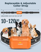 Dog Shock Collar 2 Dogs (10-120Lbs) - 4200FT Dog Training Collars with Remote Control, IPX8 Waterproof Rechargeable E-Collars for Large Medium Small Dog