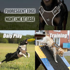 Service Dog Tactical Vest Harness and Leash Set Large Sized Dog Emotional Support- Tactical Dog Harness Training Collar with Name (Khaki, S)