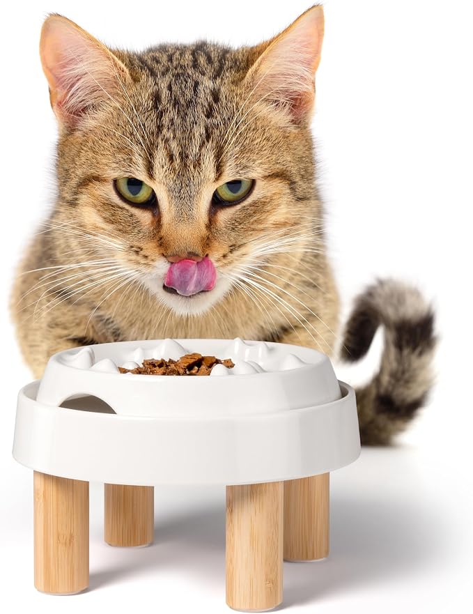 CatGuru Whisker-Friendly Slow Feeder Cat Bowl for Healthy Digestion | Perfect for kittens, adult, and senior cats. Encourages calm, healthy eating habits at every age.