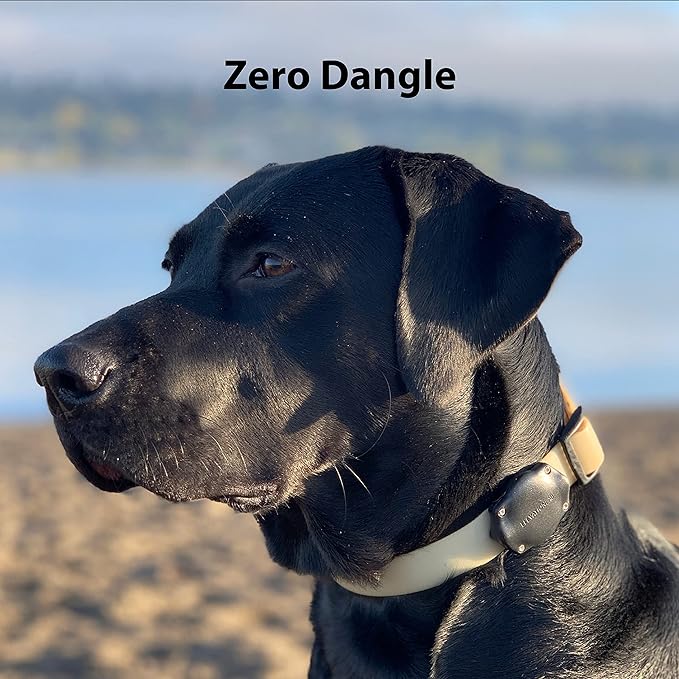 Elevation Lab AirTag Dog Collar Holder - Waterproof (2 Pack) | Secure, Durable, Fits Any Collar Width, Doesn't Dangle, Comfortable