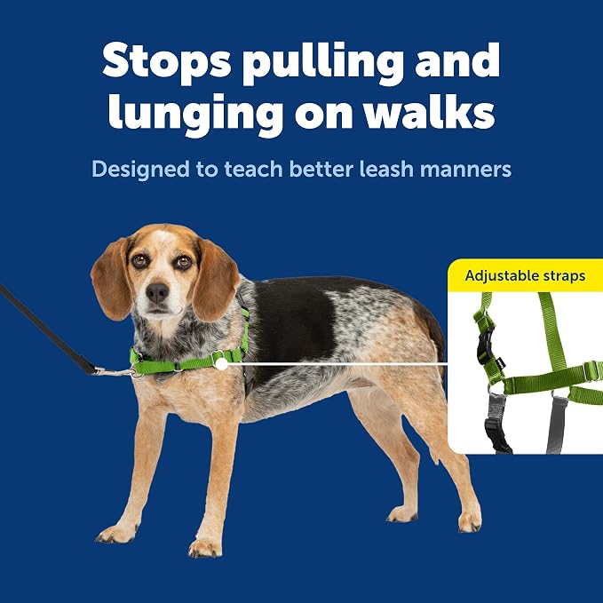 PetSafe Easy Walk Harness for Dogs - Pull-Free Walks - Patented Martingale Loop Design - Front Chest Leash Attachment - Comfort Straps - Breathable Harness Design - Small/Medium, Apple Green/Gray