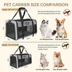 Soft Sided Two Cats Dog Carrier up to 25 lbs, Portable Mesh Pet Travel Bag for Medium Puppy Big Cats, Collapsible Puppy Crate Home Outdoor 20x13x13in, Grey