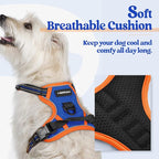 rabbitgoo Dog Harness, No Pull for Small Dogs with 2 Leash Clips, Pet Vest | No Choke with Handle, Adjustable Soft Padded, Reflective, Easy Control for Walking, Blue & Orange, X-Small