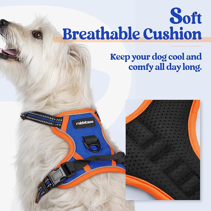 rabbitgoo Dog Harness, No Pull for Small Dogs with 2 Leash Clips, Pet Vest | No Choke with Handle, Adjustable Soft Padded, Reflective, Easy Control for Walking, Blue & Orange, X-Small