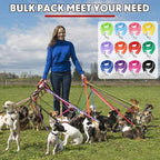 24 Pack Nylon Dog Training Leash Bulk 5 ft Dog Leash for Small and Medium Puppy Traction Rope for Training, Play, Camping, or Backyard, 12 Assorted Colors(Vibrant Colors)