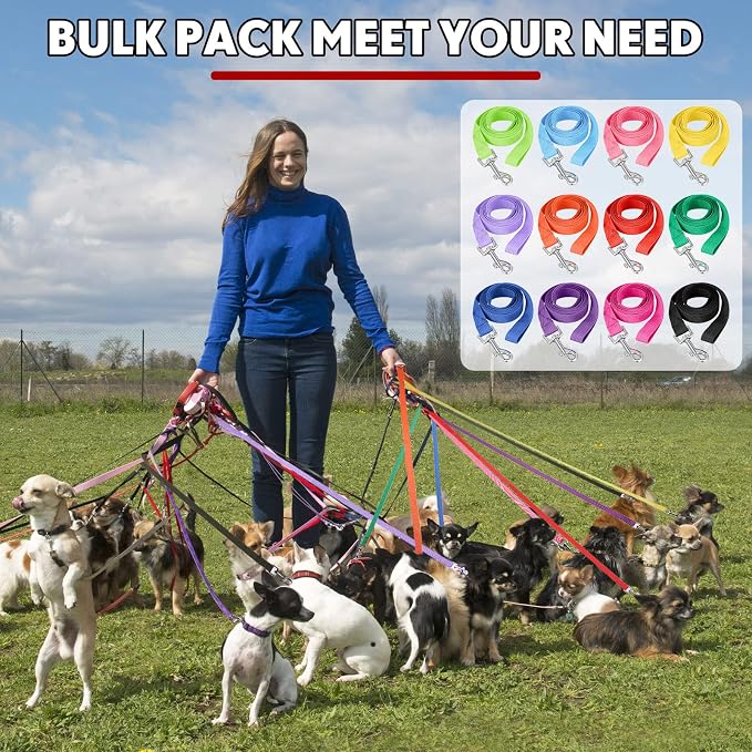24 Pack Nylon Dog Training Leash Bulk 5 ft Dog Leash for Small and Medium Puppy Traction Rope for Training, Play, Camping, or Backyard, 12 Assorted Colors(Vibrant Colors)