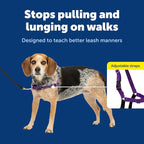 PetSafe Easy Walk No-Pull Dog Harness - Ultimate Harness to Help Stop Pulling - Pull-Free Walks - Take Control & Teach Better Leash Manners - Patented Martingale Loop Design - Deep Purple,Small/Medium