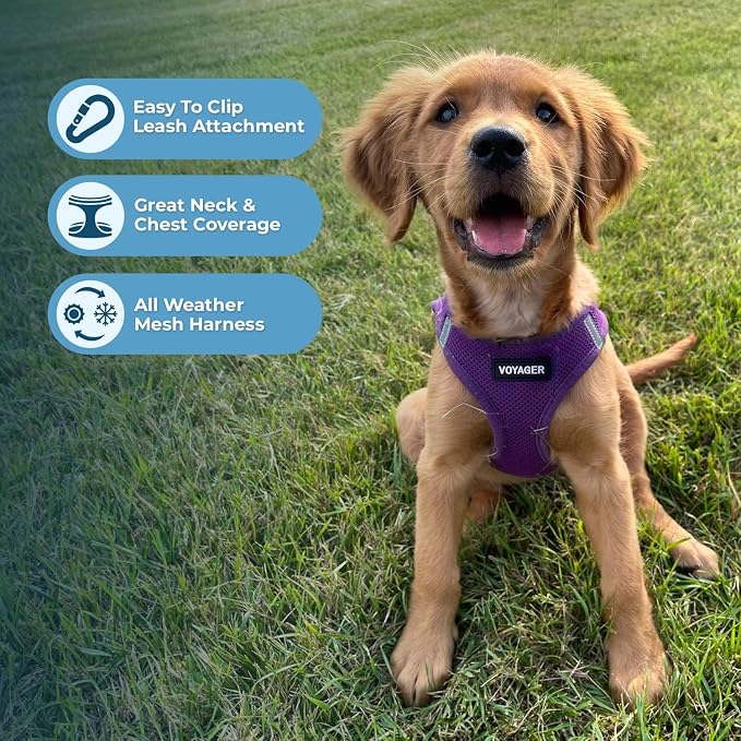 Best Pet Supplies Voyager Step-in Air All Weather Mesh Harness and Reflective Dog 5ft Leash Combo with Neoprene Handle, for Small, Medium and Large Breed Puppies - Purple, XXX-Small