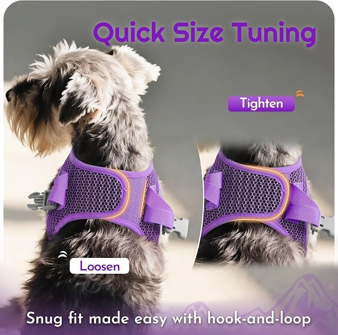 Eagloo Small Dog Harness and Leash Set, Step in Extra Small Puppy Pet Vest | Light, Soft, Breathable Air Mesh, Easy on and off with Hook & Loop, Reflective for Safe Walking, Purple, XXS