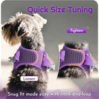Eagloo Small Dog Harness and Leash Set, Step in Extra Small Puppy Pet Vest | Light, Soft, Breathable Air Mesh, Easy on and off with Hook & Loop, Reflective for Safe Walking, Purple, XXS
