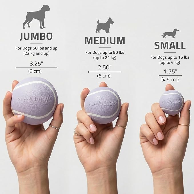 Playology Dog Toys | Squeaky Chew Ball for Large Dogs | Lamb Scented Jumbo Dog Ball | Bouncy Floating Chew Toys for Fetch
