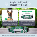 Lucky Love Dog Collar and Leash Set, Beautiful & Vivid Patterns, Easy On & Off Clasp Accessory (Blue Laguna, L Combo)