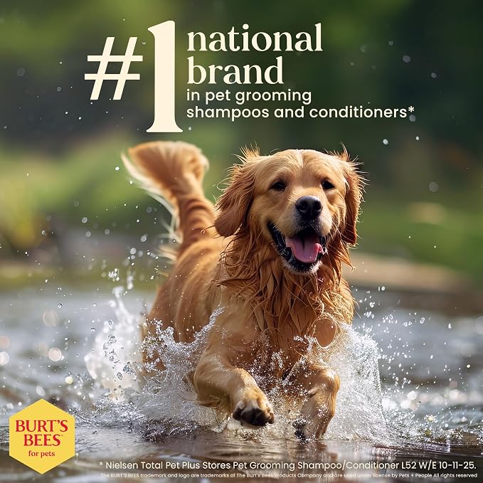 Burt's Bees for Pets Oatmeal Dog Shampoo with Honey, Soothing Formula for Itchy and Sensitive Dog Skin, Colloidal Oat Flour and Honey, pH Balanced, Sulfate-Free, 16 Fl Oz - 6 Pack
