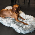 Faux Fur Orthopedic Dog Bed, Memory Foam, Grey 50"x30" | Plush Washable Dog Rug with Waterproof Machine Washable Cover, Calming for Anxious Senior Dogs, Relieves Joints