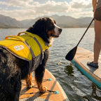 Outward Hound Granby Splash Yellow Dog Life Jacket, XL