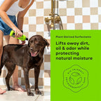Nonaste Oatmeal & Aloe Dog Shampoo, Itchy Skin & Deodorizing, 16 oz, Pk 2 | USDA-Certified Organic Aloe & Oatmeal Soothe Itchy, Dry & Sensitive Skin. Deodorizing, Gentle Dog Wash. Light Fresh Scent.