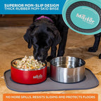 Master Pet Supply Stainless Steel Dog Bowls - 128 oz, Heavy Duty - Aqua Sky, Double Wall Extra-Thick Insulated, Non-Slip Pet Water Bowl for Dogs, Cats & Pets, Anti Rust Metal, Dish Washer Safe