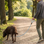Mile High Life Dog Leash Braided Cotton Rope w/Leather-Wrapped Ends/Handle | Rust-proof 360° swivel clasp, Heavy-duty for medium/large breeds. Great for weddings, daily walks (6 FT, 1/2", Sky Blue)