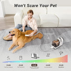 Bunfly Dog Grooming Kit,13000Pa Strong Grooming & Vacuum Suction 99.99% Pet Hair, 16 Pet Grooming Tools for Dogs Cats, 3L Large Capacity Dust Cup, Quiet Pet Vacuum Groomer (Grey)