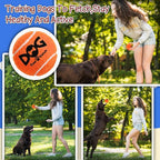 INSUM Squeaky Tennis Balls for Dogs 6 Pack 2.5" Squeaky Balls for Dogs | SGS Non-Toxic Test Pass, Multi Bright Colors Perfect for Outdoor & Indoor Play