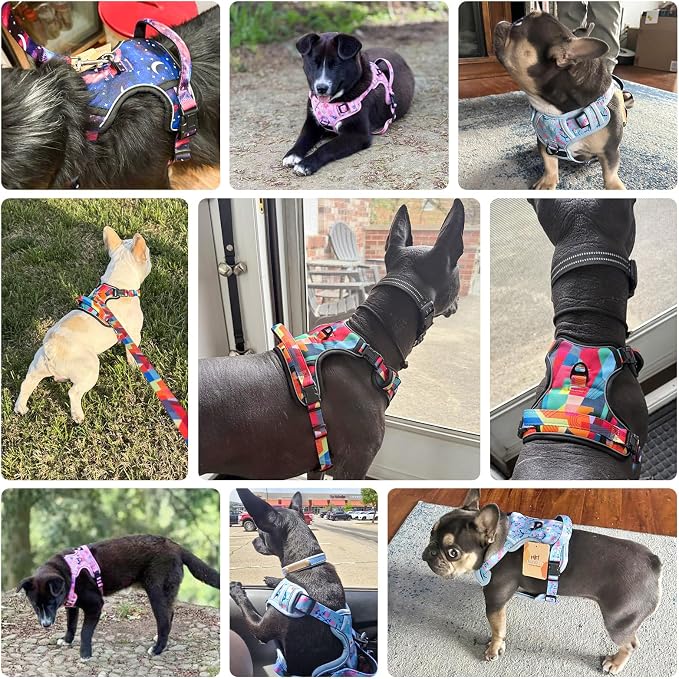 BEAUTYZOO No Pull Dog Harness Medium,Adjustable Dog Harness and Leash Set -Easy Wearing with 3 Buckles/Control Handle,No Choke Soft Padded Reflective Pet Vest for Training Walking Hiking, M