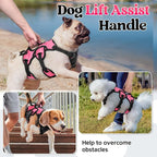 rabbitgoo Escape Proof Dog Harness for Small, No Pull with Lift Handle | No Escape, Full Soft Padded, Reflective Adjustable Vest, Leash Clip for Walking Hiking Training, Peach Pink, Small