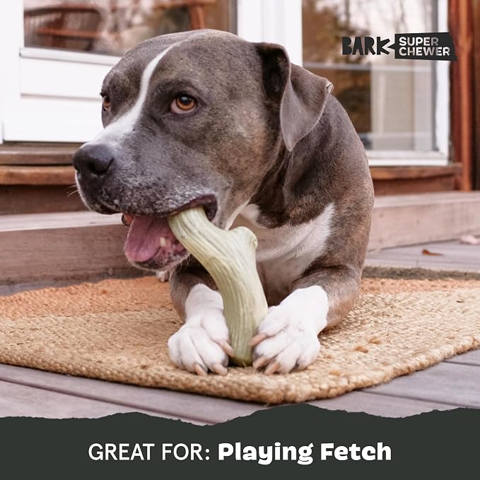 Barkbox Super Chewer Tough Dog Chew Toys for Aggressive Chewers, Dental Stimulating (Antler - Large)