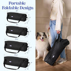 Lesure Today Show Soft Collapsible Dog Crates for Large Dogs, 36in Black | Portable Travel Camping Pet Kennel, 4-door, Indoor and Outdoor Use, Easy to Set Up and Fold, For Large Breeds Up to 70 lbs