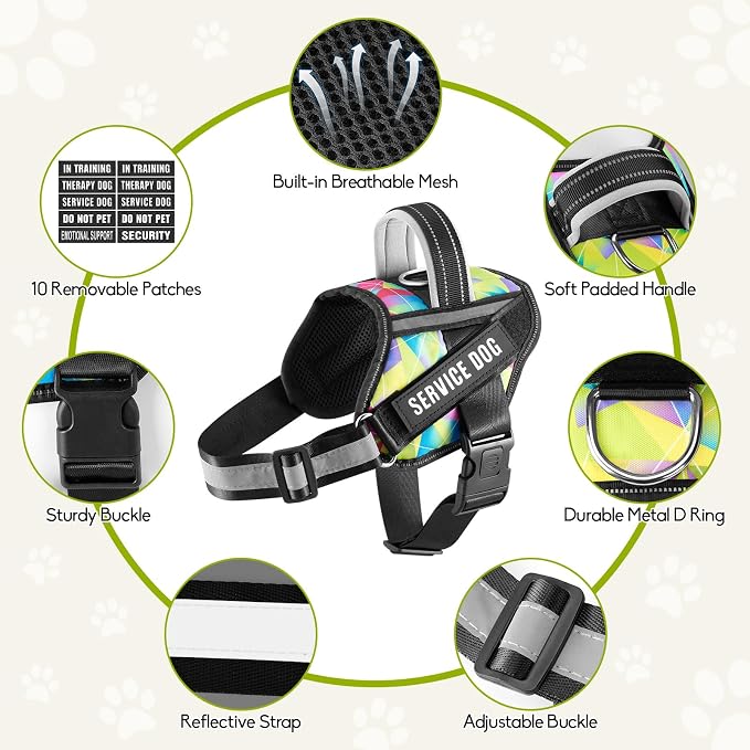 Service Dog Harness and Leash Set, XS, Multi-Colored, with 10 Patches, Reflective, for Small to XL Dogs