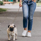 Mile High Life Dog Leash Braided Cotton Rope with Leather-Reinforced Ends | Rust-proof 360° swivel clasp, Heavy-duty for small/medium breeds. Great for weddings, daily walks (5 FT, 1/3", Camel)