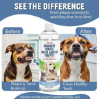Premium Advanced Dog and cat Dental Water Additive – #1 Rated Fresh Breath & Plaque Fighter - Vet Recommended, Made in USA, 17 fl oz.