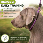 Fida Slip Leads for Dogs, 4 FT x 1/2" Dog Leash Heavy Duty Comfortable Strong Rope Lead for Large, Medium Dogs, No Pull Pet Training Leash with Highly Reflective,Purple