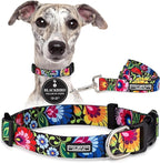Lucky Love Dog - Easy Click Buckle Dog Collar with Leash Set Combo, Durable & Comfortable for Male & Female Dogs, Pet Collar for Medium Dogs, Secure Fit - Blackbird Combo, Medium