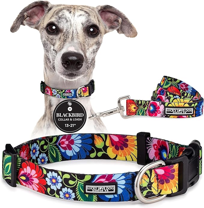 Lucky Love Dog - Easy Click Buckle Dog Collar with Leash Set Combo, Durable & Comfortable for Male & Female Dogs, Pet Collar for Medium Dogs, Secure Fit - Blackbird Combo, Medium