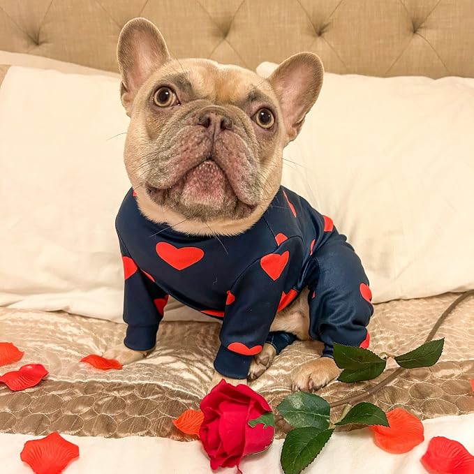 Spark Paws Dog Pajama, Dog Recovery Suit Male, Onesie, Ultra-Soft and 4-Way Stretch, for Small Medium and Large Breeds - Hearts - S