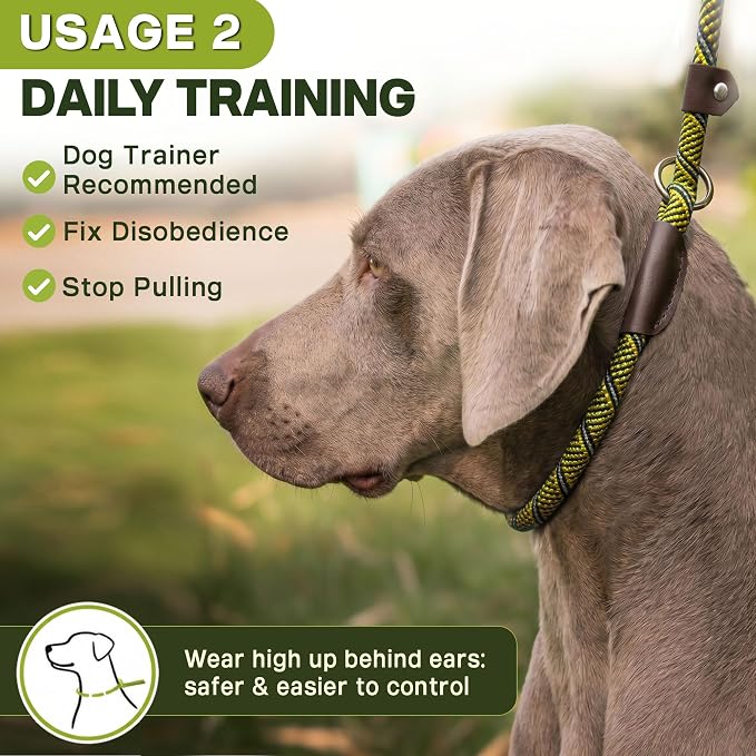 Fida Slip Leads for Dogs, 6 FT x 1/2" Dog Leash Heavy Duty Comfortable Strong Rope Lead for Large, Medium Dogs, No Pull Pet Training Leash with Highly Reflective,Yellow