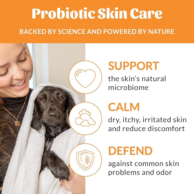 SKOUT'S HONOR Probiotic Dog Shampoo and Conditioner - Honeysuckle, 16 oz | Hydrating, Natural 2-in-1 for Itchy Skin, Microbiome-Friendly with Avocado Oil & Omega-3s, Paraben & Sulfate-Free