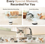 Enabot EBO ROLA Mini Pet Camera Robot: 2K FamilyBot Mobile Home Companion | Whole-Home Mobility, Two-Way Talk, Night Vision, Long Battery Life, Local Storage, Long Distance Gift