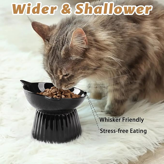 Ceramic Raised Cat Bowl，Tilted Raised Bowl Anti Vomit for Indoor Cats Whisker Friendly Pet Feeder for Cats Puppies, Microwave and Dishwasher Safe (Black)