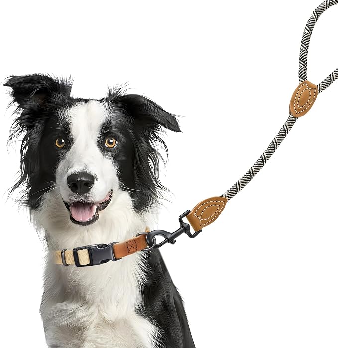 Mile High Life Short Dog Leash with Genuine Leather Connection | Rope Leash, Heavy Duty 360° Swivel Metal Clasp, for Small Medium & Large Dogs (White, 48 Inch)