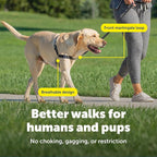 PetSafe Easy Walk Harness for Dogs - Pull-Free Walks - Patented Martingale Loop Design - Front Chest Leash Attachment - Comfort Straps - Breathable Harness Design - Large, Deep Purple/Black