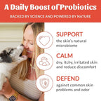 SKOUT'S HONOR Probiotic Itch Relief Spray for Dogs, 8 oz | Natural, Vegan, Non-Medicated Microbiome-Friendly Formula for Long-Lasting Relief, with Soothing Aloe and Avocado Oil