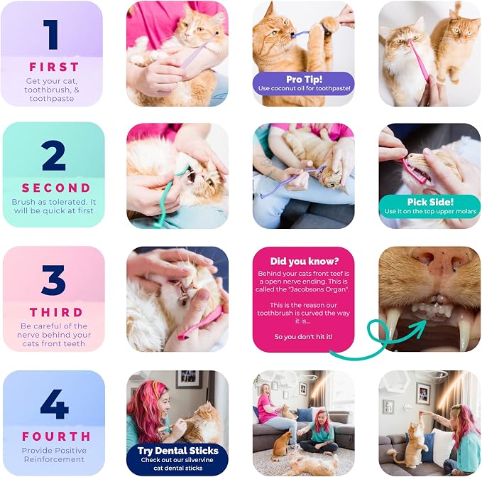 Flamingo Dual Sided Cat Toothbrush - Micro Head ToothBrush to fit into Cat's Mouth - Cat Dental Supplies | Cat toothbrush made from cornstarch plastic with micro head, soft bristles, and molar pick for cats and kittens