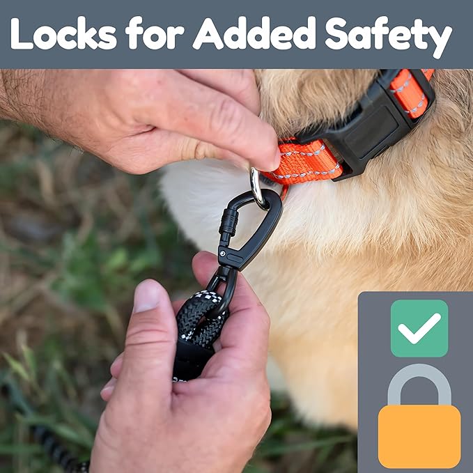 6 Foot Dog Leash, Two Extra Padded Handles, Locking Carabiner Clip, Reflective for Night Visibility, Weatherproof, Heavy Duty Rope Leash, Roam Gear (Black)