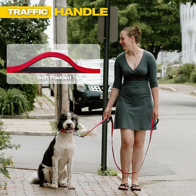 Fida 10ft Heavy Duty Dog Leash with 2 Comfortable Padded Handles, Traffic Handle & Advanced Easy Snap Hook, Reflective Walking Lead for Large, Medium & Small Breed Dogs, Red