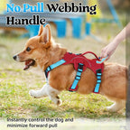 rabbitgoo Escape Proof Dog Harness for Small, No Pull with Lift Handle | No Escape, Full Soft Padded, Reflective Adjustable Vest, Leash Clip for Walking Hiking Training, Sky Blue & Red, Small