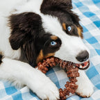 Nylabone Power Chew Customer Favorites Dog Chew Toys, 3 Count, Large | Flavor Medley, peanut butter, and beef flavor, durable dog toys for aggressive chewers, for large breeds up to 50 lbs