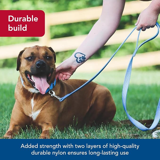 Coastal Pet Double-Ply Dog Leash - Bolt Snap Attachment to Collars and Harnesses - Nylon Dog Walking Leash for Small, Medium and Large Dogs - Pink Flamingo - 1" x 6'